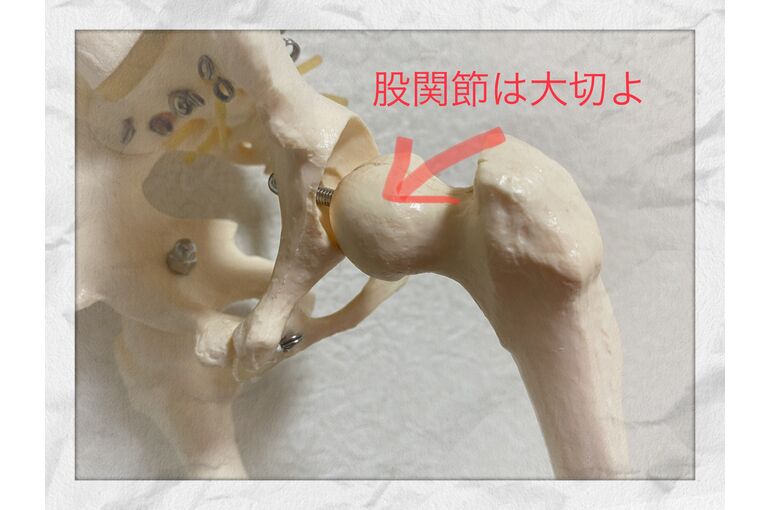 E10401E1-3259-4AAD-BD5E-C5C288A4E934