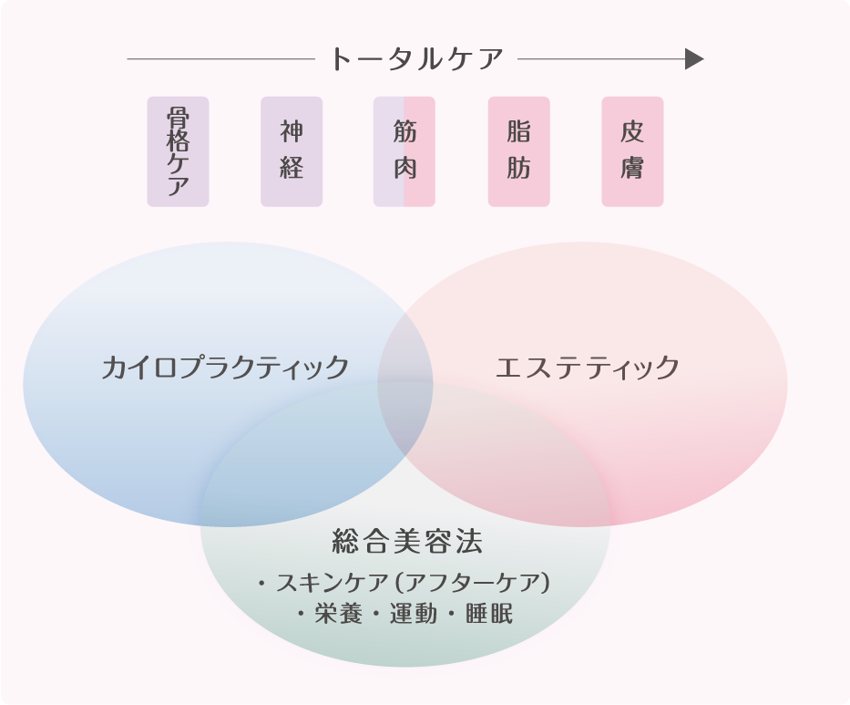 美容カイロエステティックとは